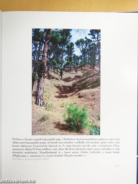 Hét év hét kontinensen