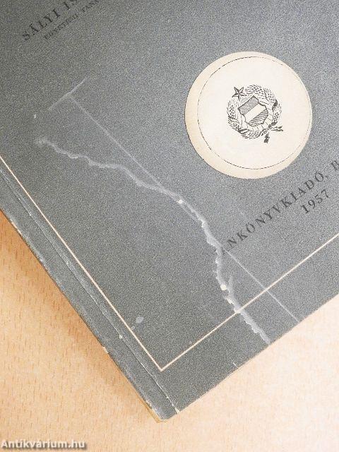 Szilárdságtani példatár I. 