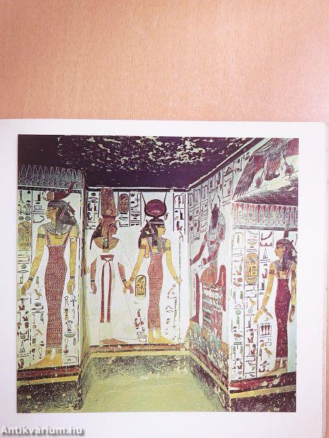 Miért fest az ember