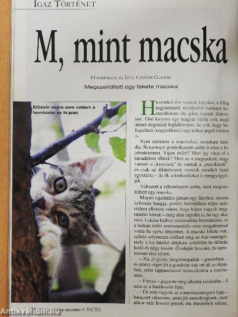 A macska 2014. november-december