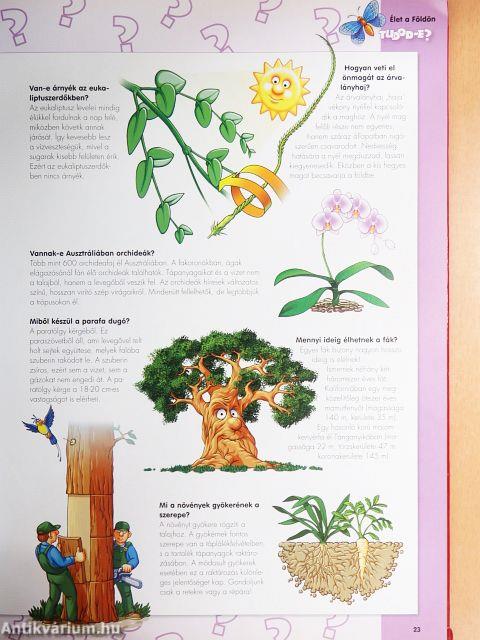 Tudod-e? - Érdekes kérdések és válaszok gyermekeknek