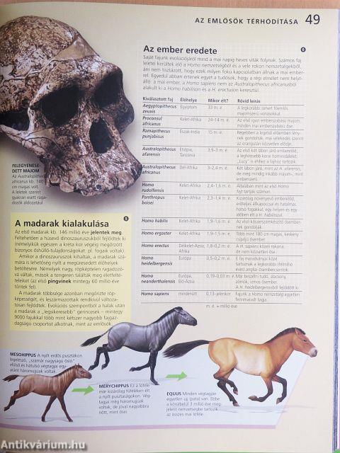 A természet világa