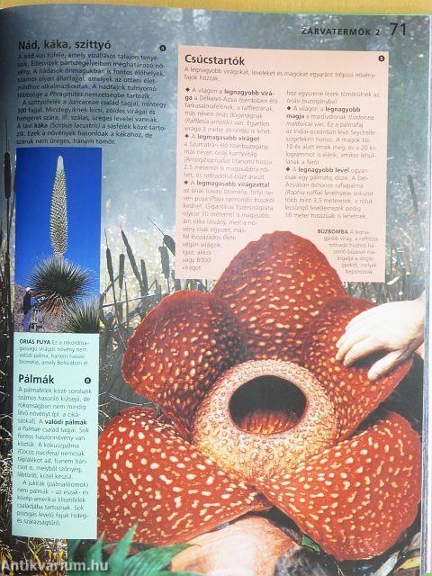 A természet világa