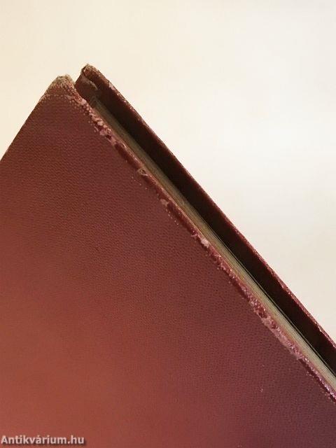 Városegészségügy az új Budapesten