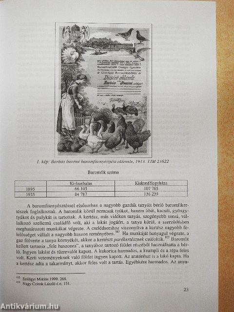 A Duna-Tisza közi homokhátság délkeleti részének paraszti gazdálkodása a 20. században