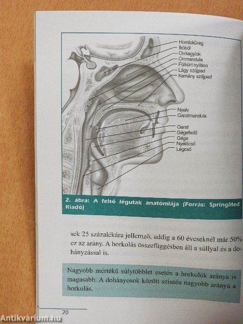 Horkolás, légzéskimaradás-alvási apnoe?