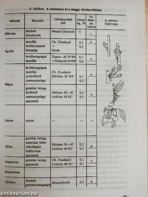 Gyümölcstermesztés IV.