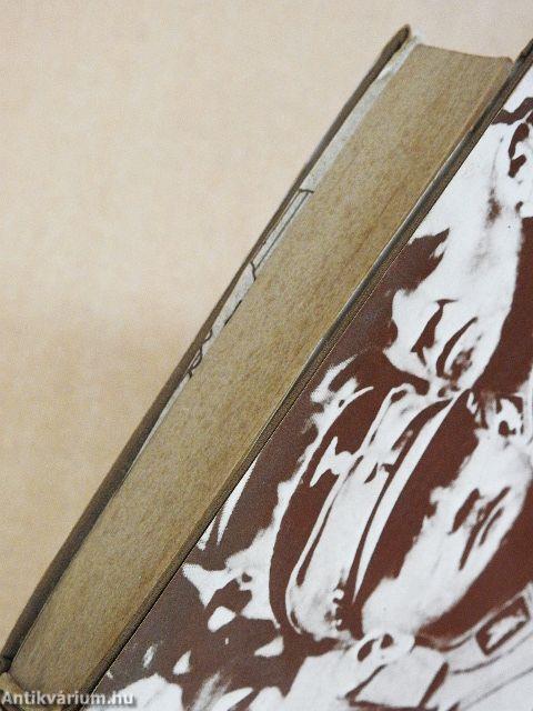 A gyilkosok éjszakája