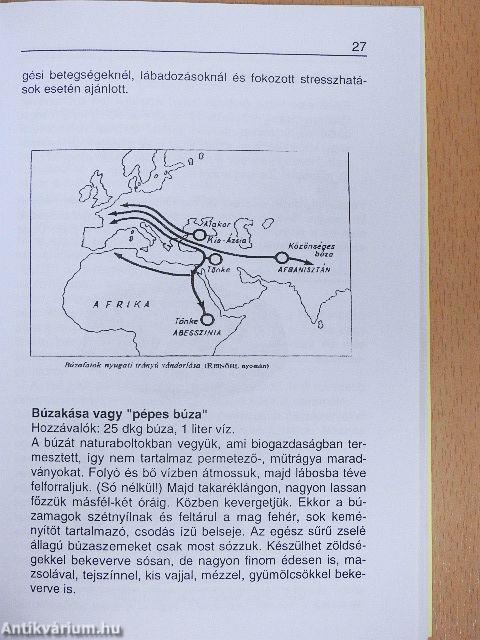 Bevezetés a gabonakonyhába