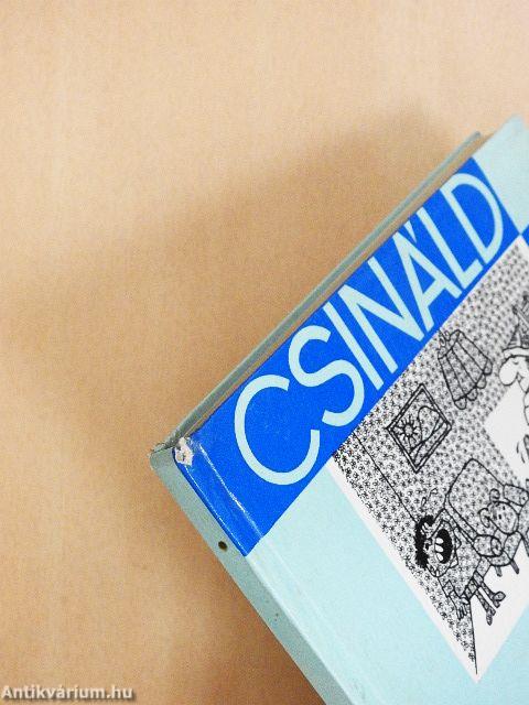 Festés, tapétázás, mázolás