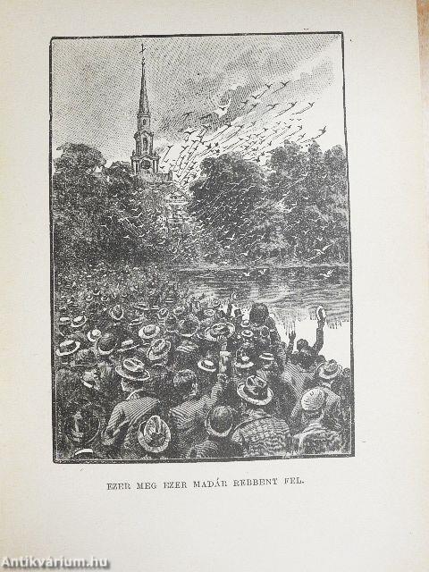 Különös végrendelet