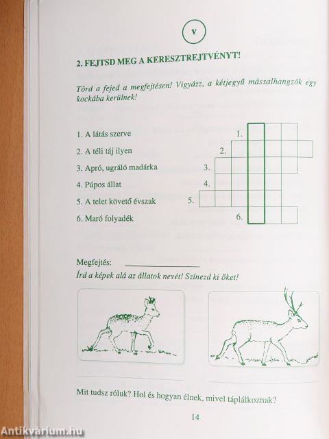 Szórejtő-szófejtő