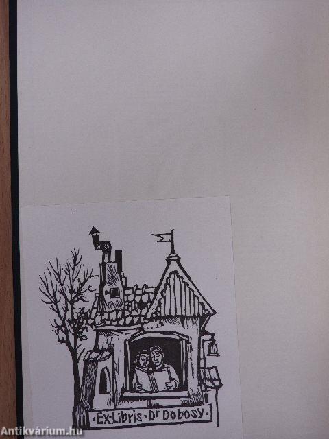 A magyar történelem képeskönyve