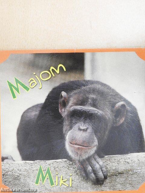 Állatkerti állatok