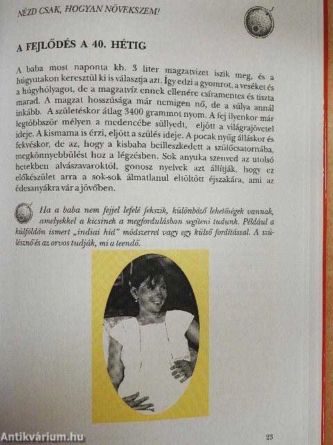 Anya, beszélgess velem!