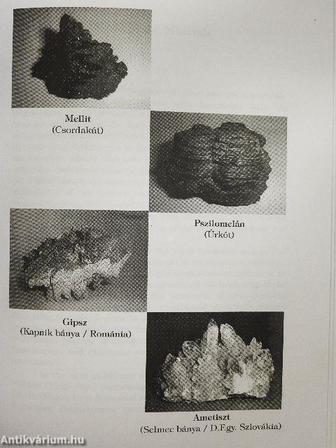 Ásványok világa - Tájunk madarai