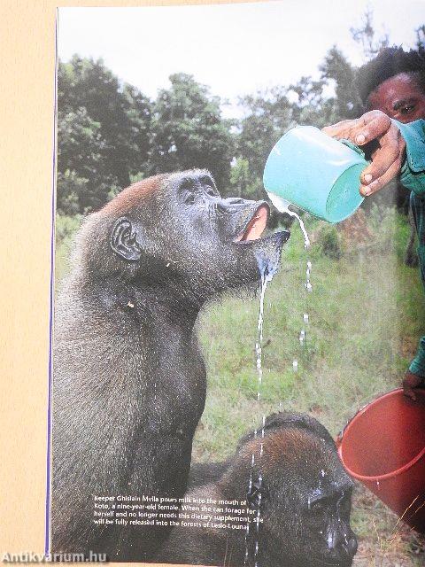 Africa Geographic March 2003