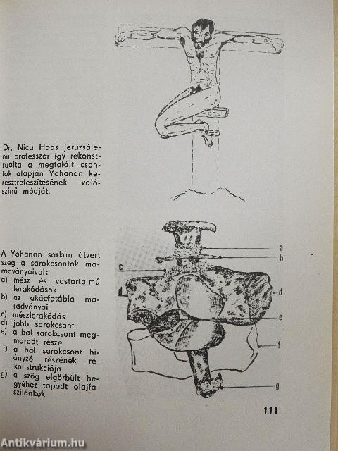 A torinói halotti lepel
