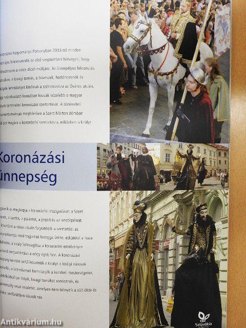 Pozsonyi régió