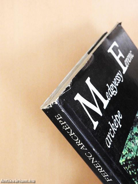 Medgyessy Ferenc arcképe