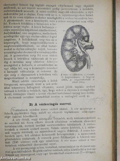 Test- és egészségtan/Lélektan/Neveléstan/Nevelés-történelem