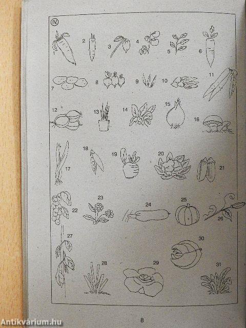 Angol-magyar képes szótár