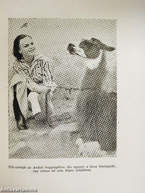 Kincsvadászat Dél-Amerikában