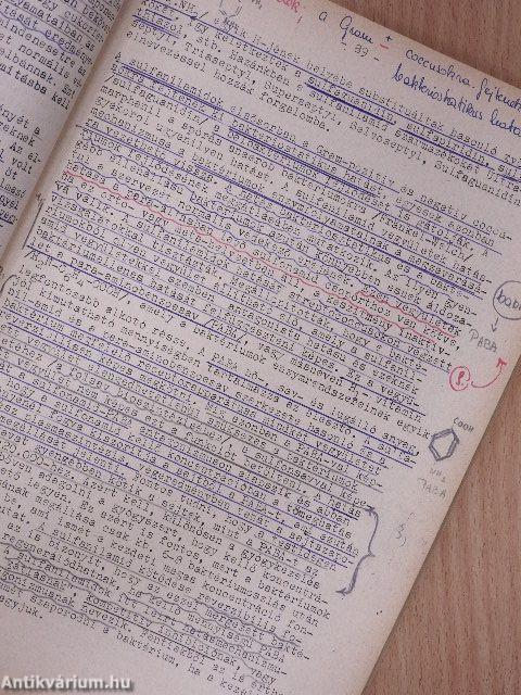 Mikrobiológiai jegyzet