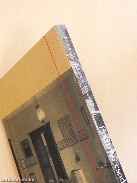 Politika csodaországban