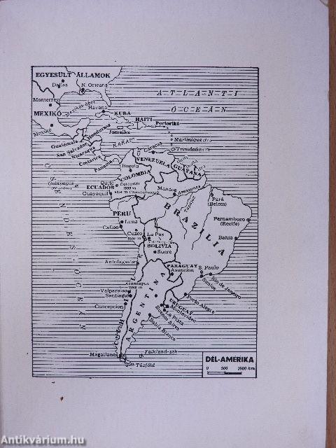 Kincsvadászat Dél-Amerikában