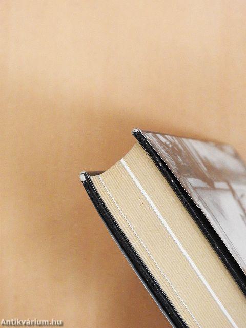 Magyar reneszánsz udvari kultúra