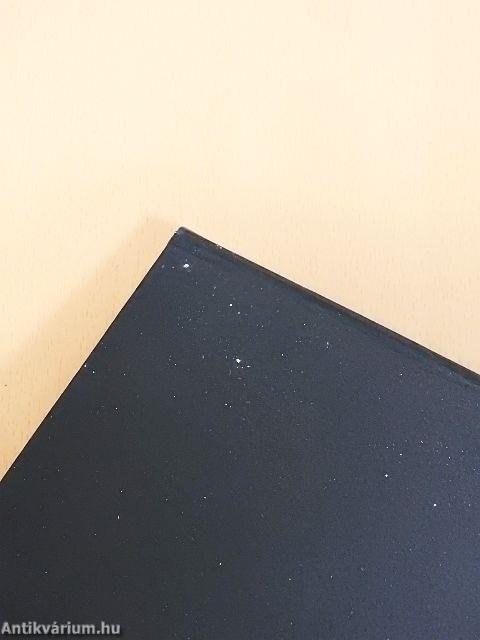 Magyar reneszánsz udvari kultúra