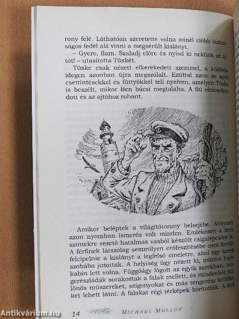 A Jégpor nyomában avagy a fénytündérek legendája