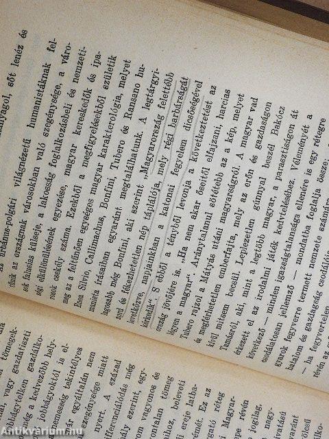 Pogány magyarság, keresztény magyarság