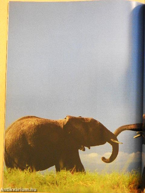 Africa Geographic October 2003