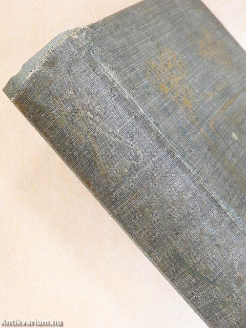 Katóka kegyelmes asszony