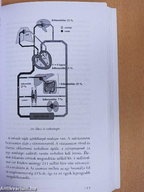 Egészség az asztrológia tükrében