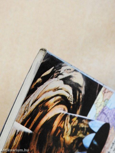 Az "Európa-paradigma"