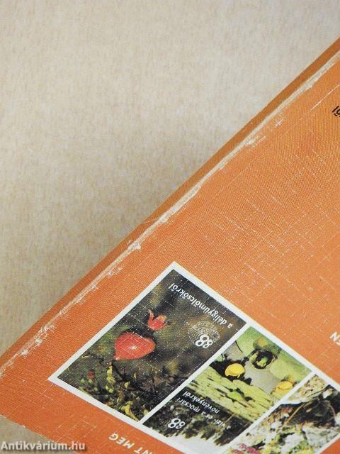 A tengerek ékszereiről