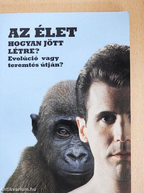 Az élet - hogyan jött létre?