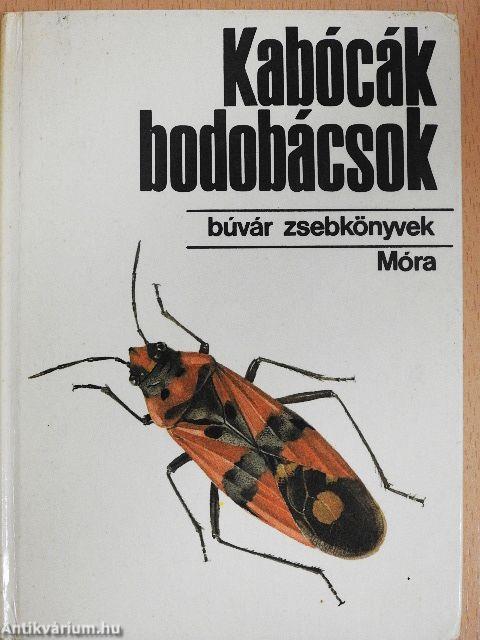 Kabócák, bodobácsok