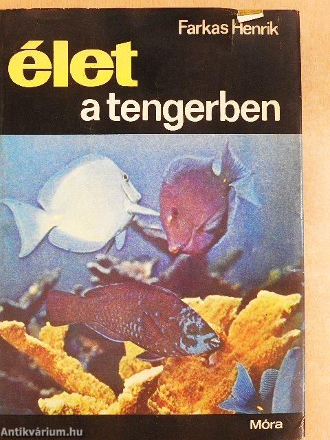 Élet a tengerben