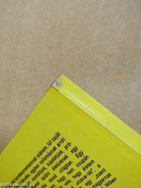 Pályakép fénnyel és árnyékkal (dedikált példány)