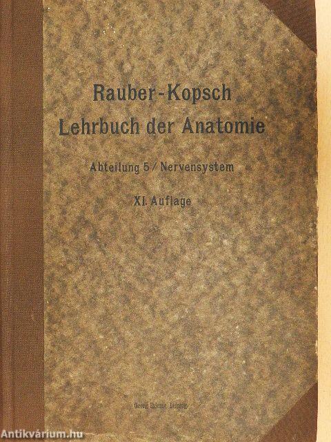 Rauber's Lehrbuch der Anatomie des Menschen Abteilung 5. (töredék)