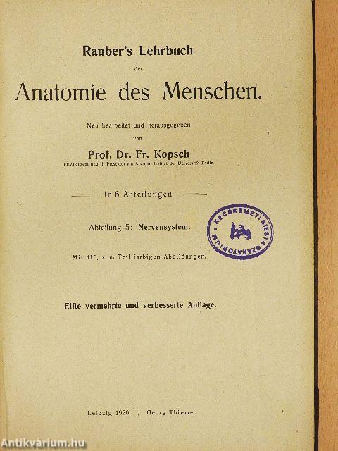 Rauber's Lehrbuch der Anatomie des Menschen Abteilung 5. (töredék)