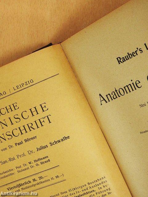 Rauber's Lehrbuch der Anatomie des Menschen Abteilung 5. (töredék)