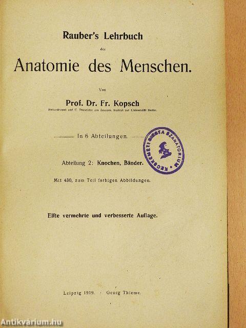 Rauber's Lehrbuch der Anatomie des Menschen 2. (töredék)