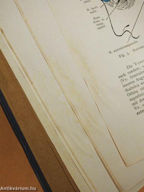 Lehrbuch der topographischen Anatomie