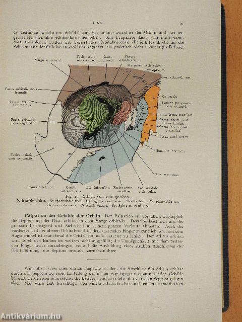 Lehrbuch der topographischen Anatomie