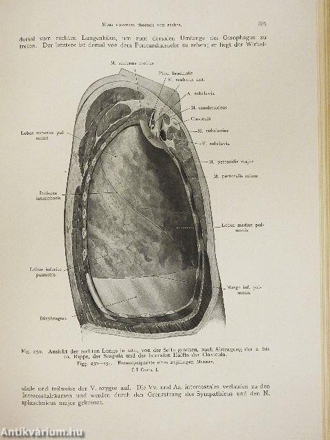 Lehrbuch der topographischen Anatomie